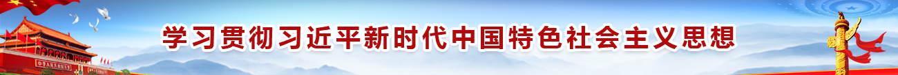 習近平新時代中國特色社會主義思想學習
